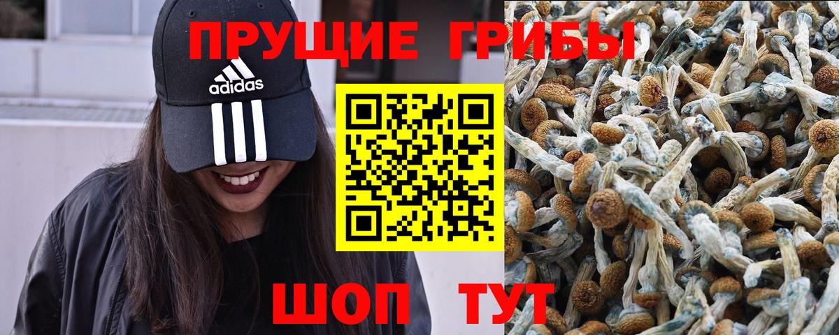 Ялта  Псилоцибиновые грибы Psilocybe  Вход с VPN 
